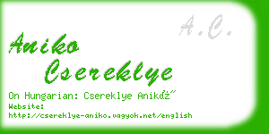 aniko csereklye business card